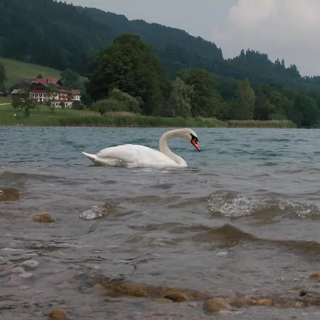 Seehotel Garni Poellmann Hotel 4*