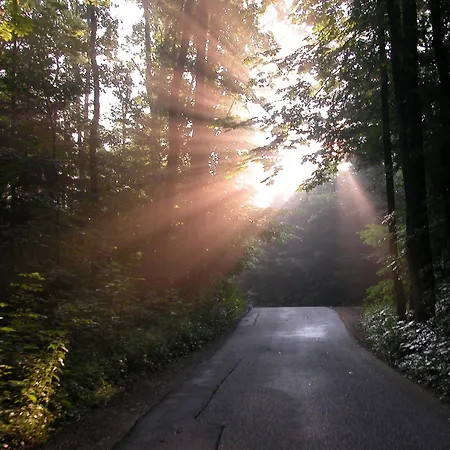 Seehotel Garni Poellmann Hotel 4*