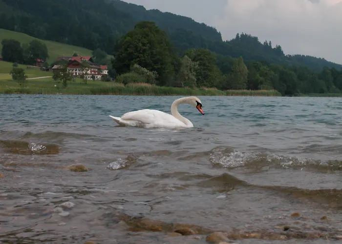 Seehotel Garni Poellmann Hotel 4*